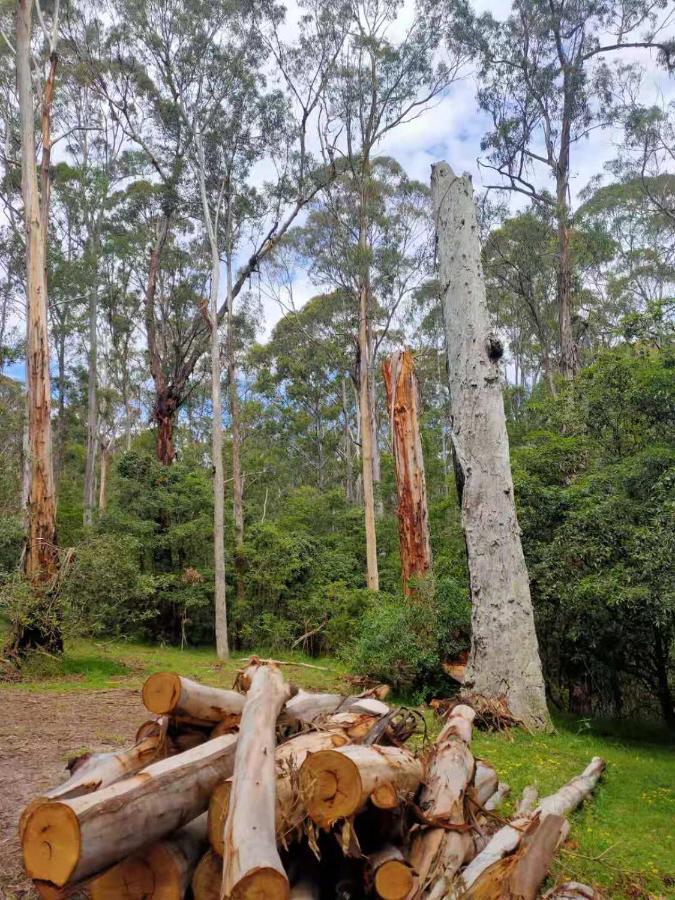 Lakes Entrance Log Cabins Eksteriør billede