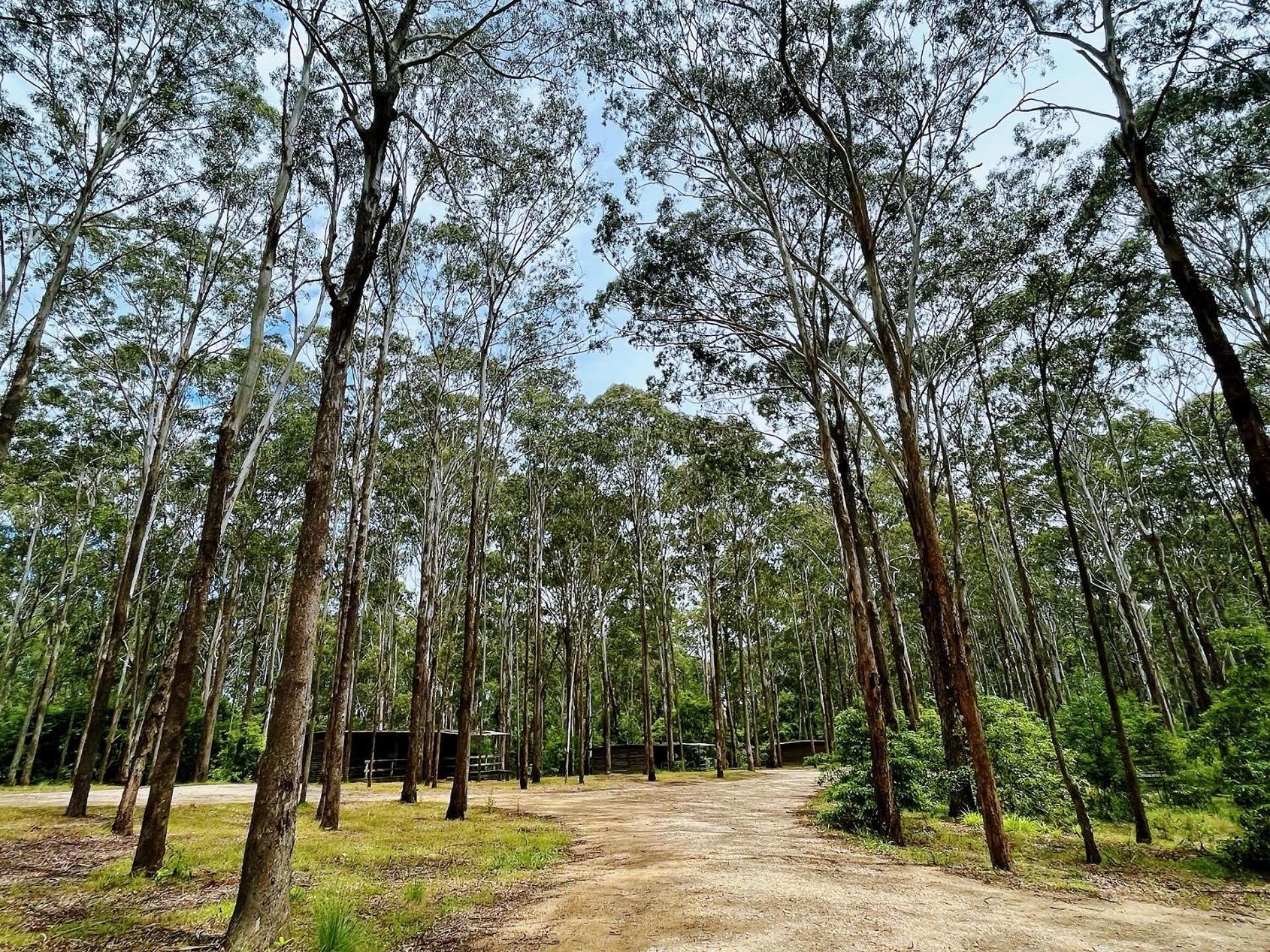 Lakes Entrance Log Cabins Eksteriør billede